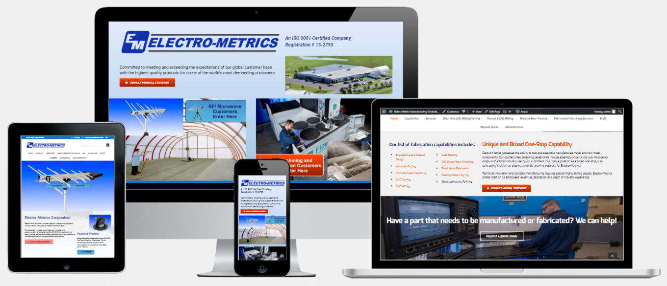Electro-Metrics Website Design Capital District Digital