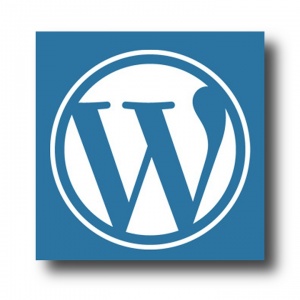 WordPress Website Design Albany, NY